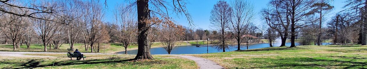 Holly Hills