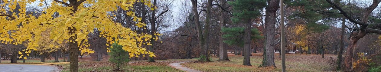 Holly Hills